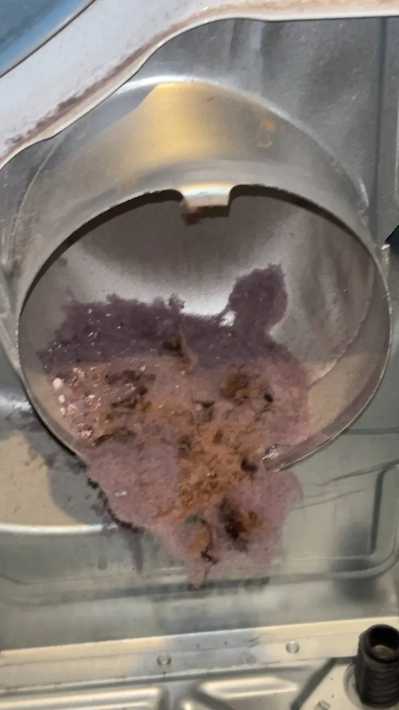 Dryer Repair in Nolensville, TN - Real Job