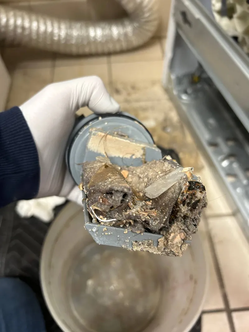 Washer Repair in Franklin, TN - Real Job